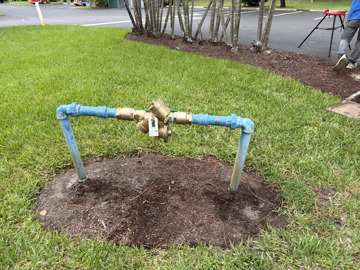 Outdoor brass backflow assembly connected to blue above-ground piping